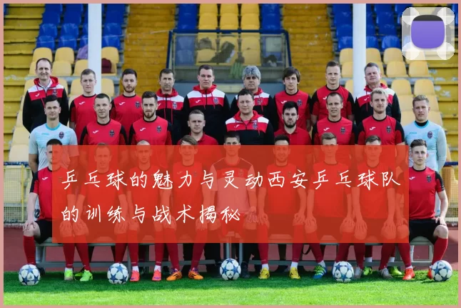 乒乓球的魅力与灵动西安乒乓球队的训练与战术揭秘