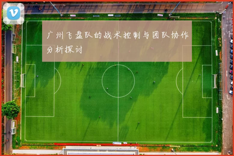 广州飞盘队的战术控制与团队协作分析探讨