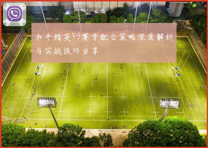 和平精英V5赛季配合策略深度解析与实战技巧分享