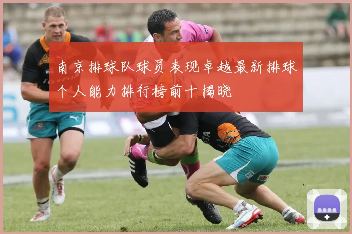 南京排球队球员表现卓越最新排球个人能力排行榜前十揭晓