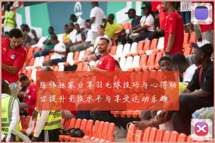 陈伟独家分享羽毛球技巧与心得助你提升竞技水平与享受运动乐趣
