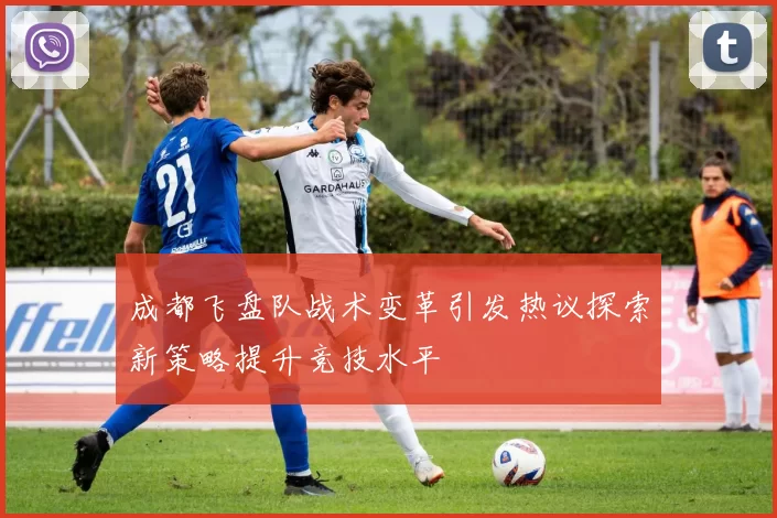 成都飞盘队战术变革引发热议探索新策略提升竞技水平