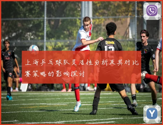 上海乒乓球队灵活性分析及其对比赛策略的影响探讨
