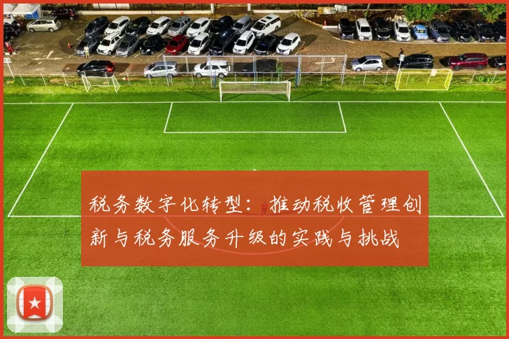 税务数字化转型：推动税收管理创新与税务服务升级的实践与挑战
