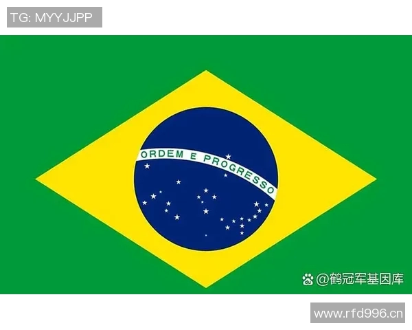 世界杯各队历史战绩与球员表现分析，谁将问鼎冠军宝座